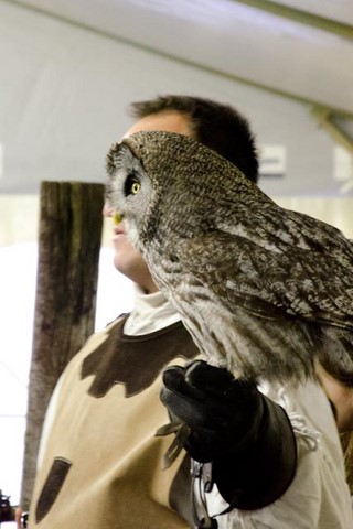 fred-meuris-fauconnier